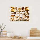 Vintage Mushroom Variety Mushroom-Template für 180 Poster (Küche)