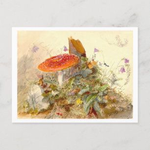 Vintage Mushroom-Wiese-Szene Postkarte