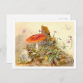 Vintage Mushroom-Wiese-Szene Postkarte (Vorne/Hinten)