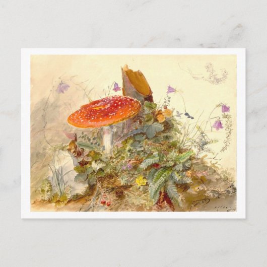 Vintage Mushroom-Wiese-Szene Postkarte (Vorderseite)