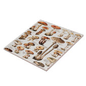 Vintage Mushrooms By Adolphe Millot  Fliese (Seite)