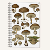 Vintage Mushrooms Notebook Notizblock (Vorderseite)