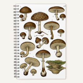 Vintage Mushrooms Notebook Notizblock