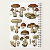 Vintage Mushrooms Notebook Notizblock (Rückseite)