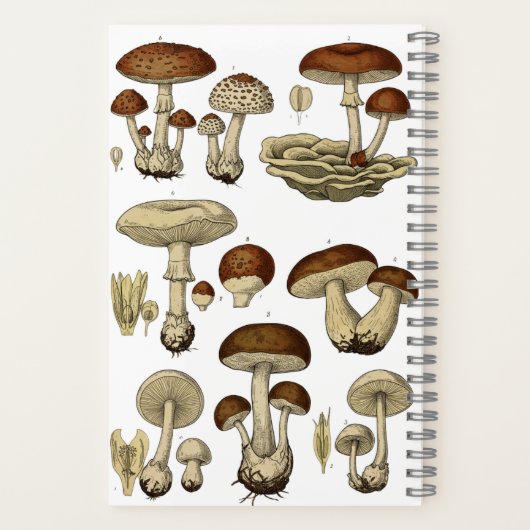 Vintage Mushrooms Notebook Notizblock (Rückseite)