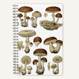 Vintage Mushrooms Notebook Notizblock