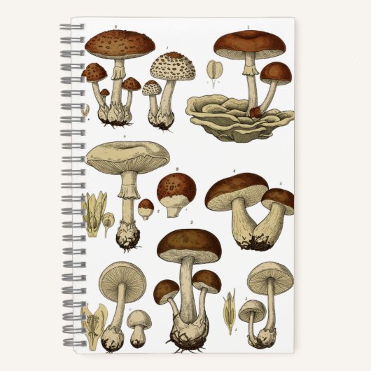 Vintage Mushrooms Notebook Notizblock (Vorderseite)