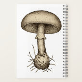 Vintage Mushrooms Notebook Notizblock (Rückseite)