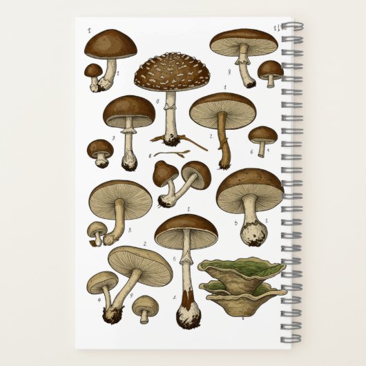 Vintage Mushrooms Notebook Notizblock (Rückseite)