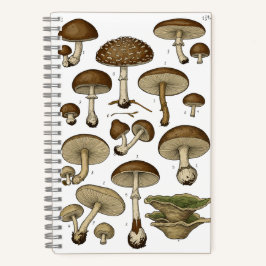 Vintage Mushrooms Notebook Notizblock