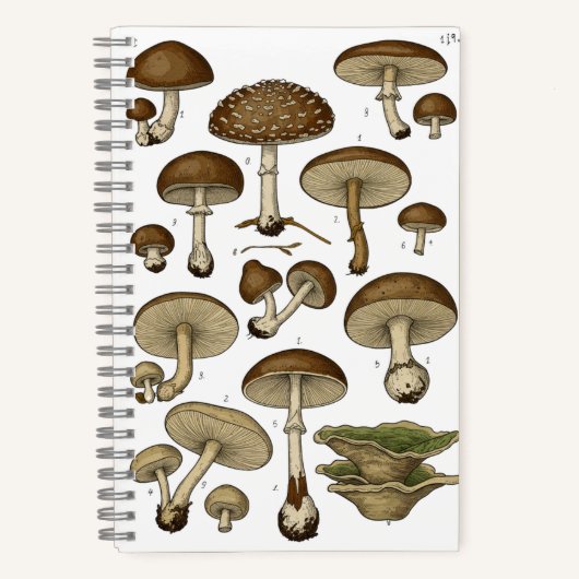 Vintage Mushrooms Notebook Notizblock (Vorderseite)