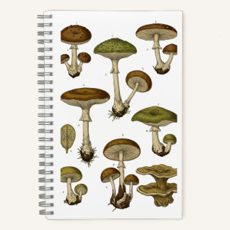 Vintage Mushrooms Notebook Notizblock