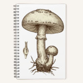 Vintage Mushrooms Notizblock (Vorderseite)