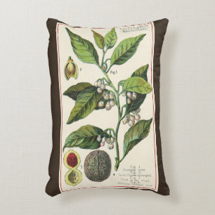 Vintage-Muskatnuss-Pflanzenfruchtsamen, Lebensmitt Dekokissen