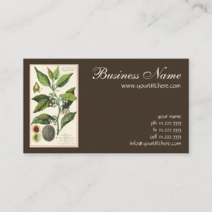 Vintage-Muskatnuss-Pflanzenfruchtsamen, Lebensmitt Visitenkarte