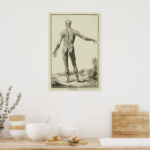 Vintage Muskeln, Anatomie des Menschen durch Denis Poster (Küche)