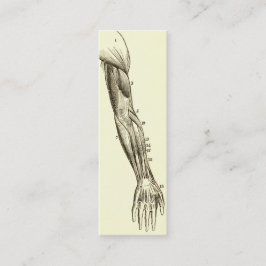 Vintage Muskeln der Anatomie-| des Armes (circa Mini Visitenkarte