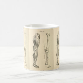 Vintage Muskeln der Anatomie- | und Knochen des Kaffeetasse