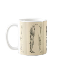 Vintage Muskeln der Anatomie-   | und Knochen des