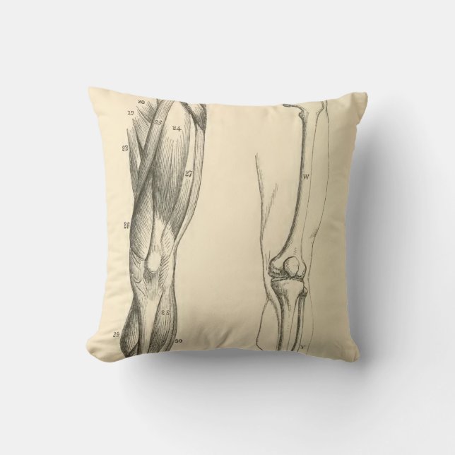 Vintage Muskeln der Anatomie-   | und Knochen des Kissen (Vorderseite)