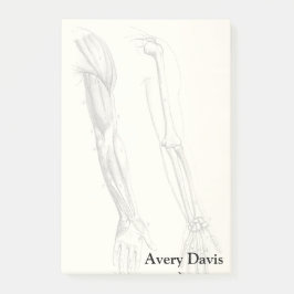 Vintage Muskeln der Anatomie-| und Knochen des Post-it Klebezettel