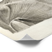 Vintage Muskeln Schädelanatomie Druck 1716 Poster (Ecke)