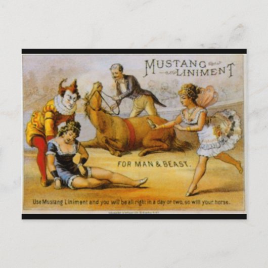Vintage Mustang Liniment Postkarte (Vorderseite)