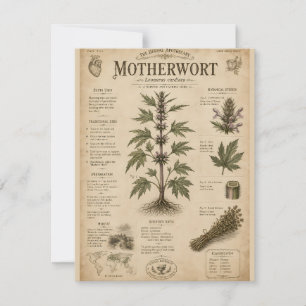 Vintage-Mutterkraut-Botanische-Illustration Kräute Mitteilungskarte