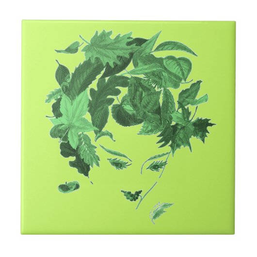 Vintage Mutternatur Fliese (Vorderseite)