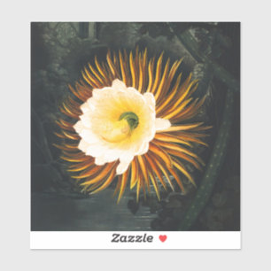 Vintage Nachtblühender Cereus Gothic Art Aufkleber