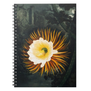 Vintage Nachtblühender Cereus Gothic Art Notizblock