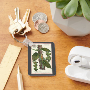 Vintage-Nahrungsmittel-Kräuter Gewürze, Schwarze P Schlüsselanhänger