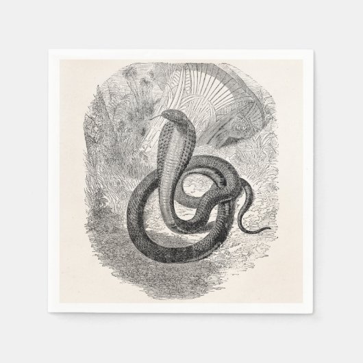 Vintage Naia Haje Snake - Vorlage für schlüssiges Serviette (Vorderseite)