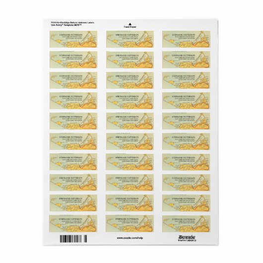 Vintage Nantucket Map Address Labels (Vorne)