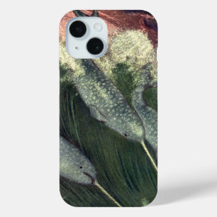 Vintage Narbale, Meereswale und Meerestiere Case-Mate iPhone Hülle