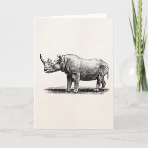 Vintage Nashorn Illustration Nashorn Nashörner Karte