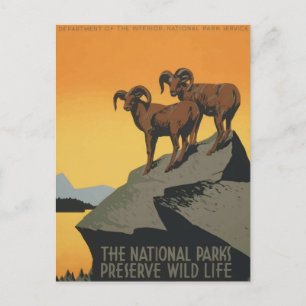 Vintage National Park Retro-Reiseposter Postkarte