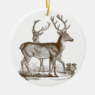 Vintage Naturgeschichte Dez. Keramik Ornament