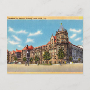 Vintage, Naturhistorisches Museum, New York Postkarte