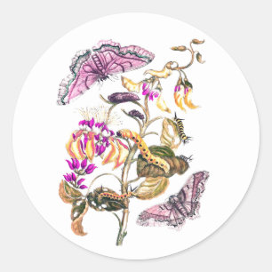 Vintage Naturillustration Blumen Schmetterling Runder Aufkleber