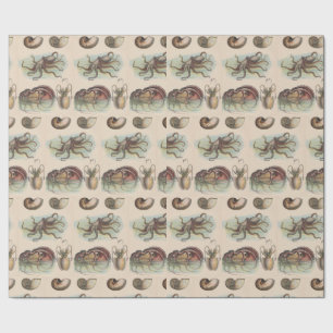 Vintage Nautical - Oktopus, Nautilus, Tintenfisch Geschenkpapier
