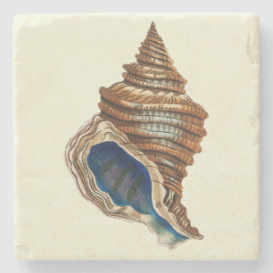 Vintage nautische George Shaw blaue Conch-Schnecke Steinuntersetzer