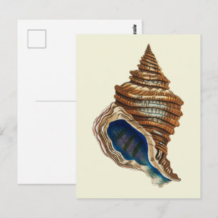 Vintage nautische George Shaw blaue Tritonshorn-Ku Postkarte