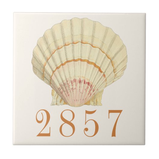 Vintage Nautische Scallop Seashell House-Adresse Fliese (Vorderseite)