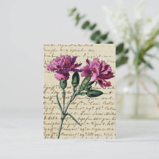 Vintage Nelke Postkarte (Stehend Vorderseite)