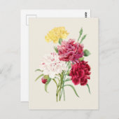 Vintage Nelken Botanische Illustration Postkarte (Vorne/Hinten)