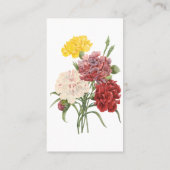 Vintage Nelken Dianthus Garden Blume Redoute Visitenkarte (Rückseite)
