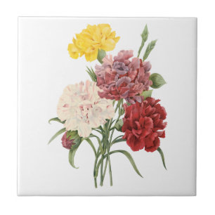 Vintage Nelken Dianthus Gartenblumen Redoute Fliese