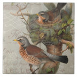 Vintage Nesting Birds Collage Botanic Art Script Fliese<br><div class="desc">"Vintage Nesting Birds Collage Botanical Art Script Ephemera Keramik tile." Eine exquisit detaillierte Kachel, die aus einer größeren Collage von botanischen Vögeln, Vogelnestern, Eiern, Blattblättern, Bäumen und Schriftzeichen, Typografie-Anzeigen entstanden ist. Weiche, weiße und graue Kalligraphie-Schriftrollarbeit beendet die Komposition. Grafisch entworfen von Audrey Jeanne Roberts, international lizenzierter Künstlerin und Designer, Urheberrecht....</div>
