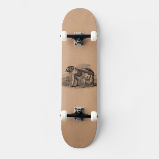 Vintage Neufundland-Hunde1800s Hundeillustration Skateboard (Vorderseite)